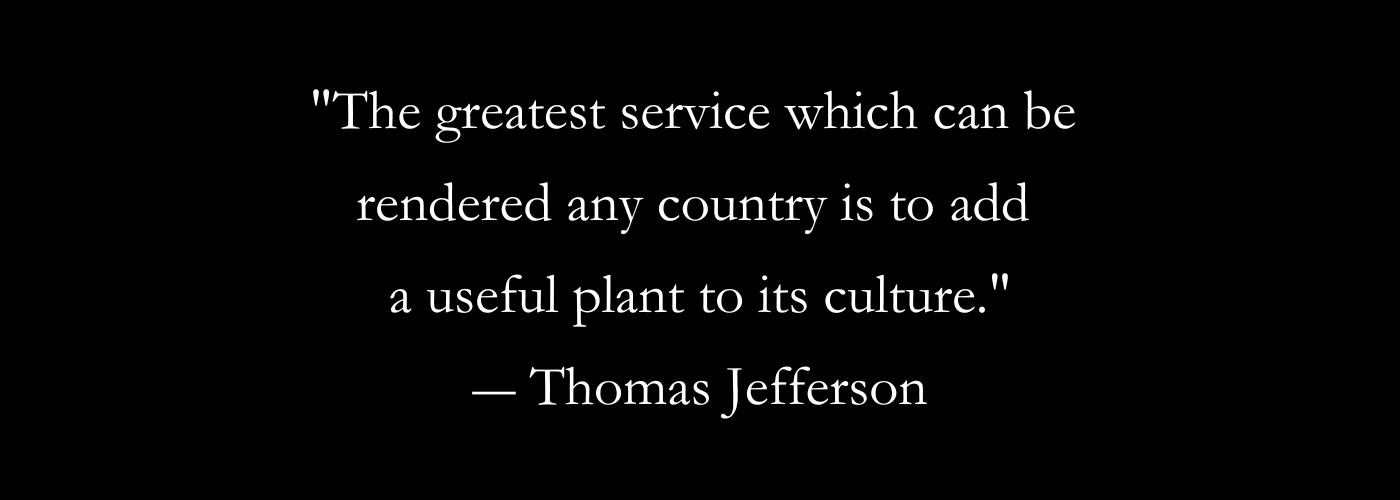 "The greatest service which can be 
rendered any country is to add 
a useful plant to its culture."
― Thomas Jefferson